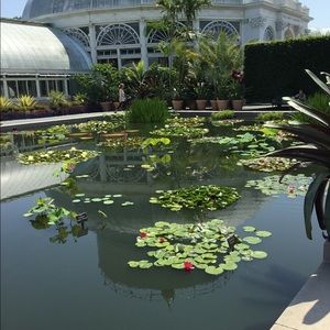 Meet your Posher, Maryann